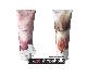 *¤* Bath & Body Works : Signature Collection, Hand Cream  sweet pea, brown suga