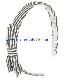 *¤* Forever21 Accessories: Stripe Bow Headband-Black/White ҴԴѡ