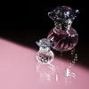 *¤* Jill Stuart : Night Jewel EDT. 4 ml. Ǵ ҴѺѡ ;